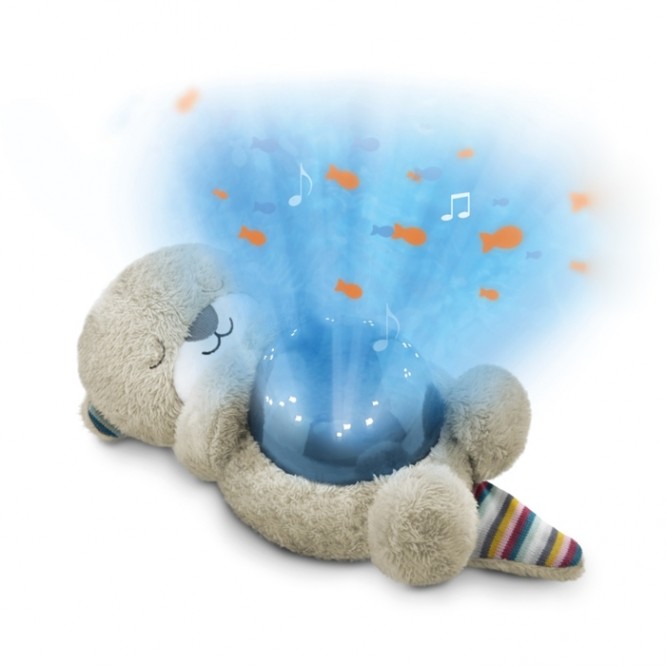 Projektor Oceanu Otto Wydra Zazu