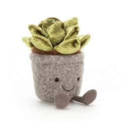 Silly kwiat sukulent Jellycat