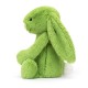 Królik Bashful 18cm Wiosenny Jellycat Apple