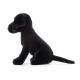 Pies Labrador Pippa Jellycat