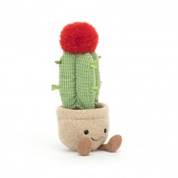 Zabawny Kaktus Jellycat
