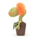 Kwiatek Głodomorek Pomarańczowy Jellycat