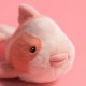 Fantazyjny Karp Jellycat
