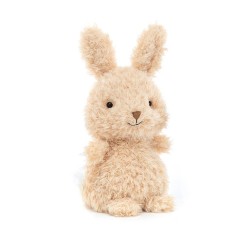 Króliczek Little Bunny Jellycat