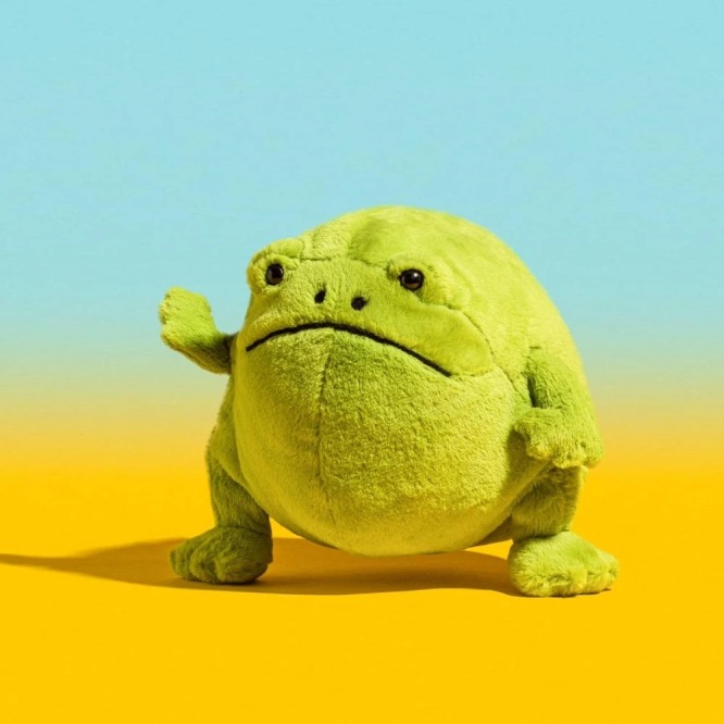 Deszczowa żaba Ricky od Jellycat – zielona maskotka z melancholijnym wyrazem pyszczka