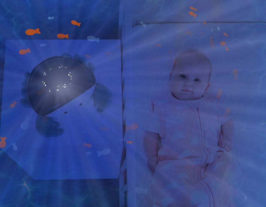 Projektor dla dzieci zazu coddy - projektor oceanu